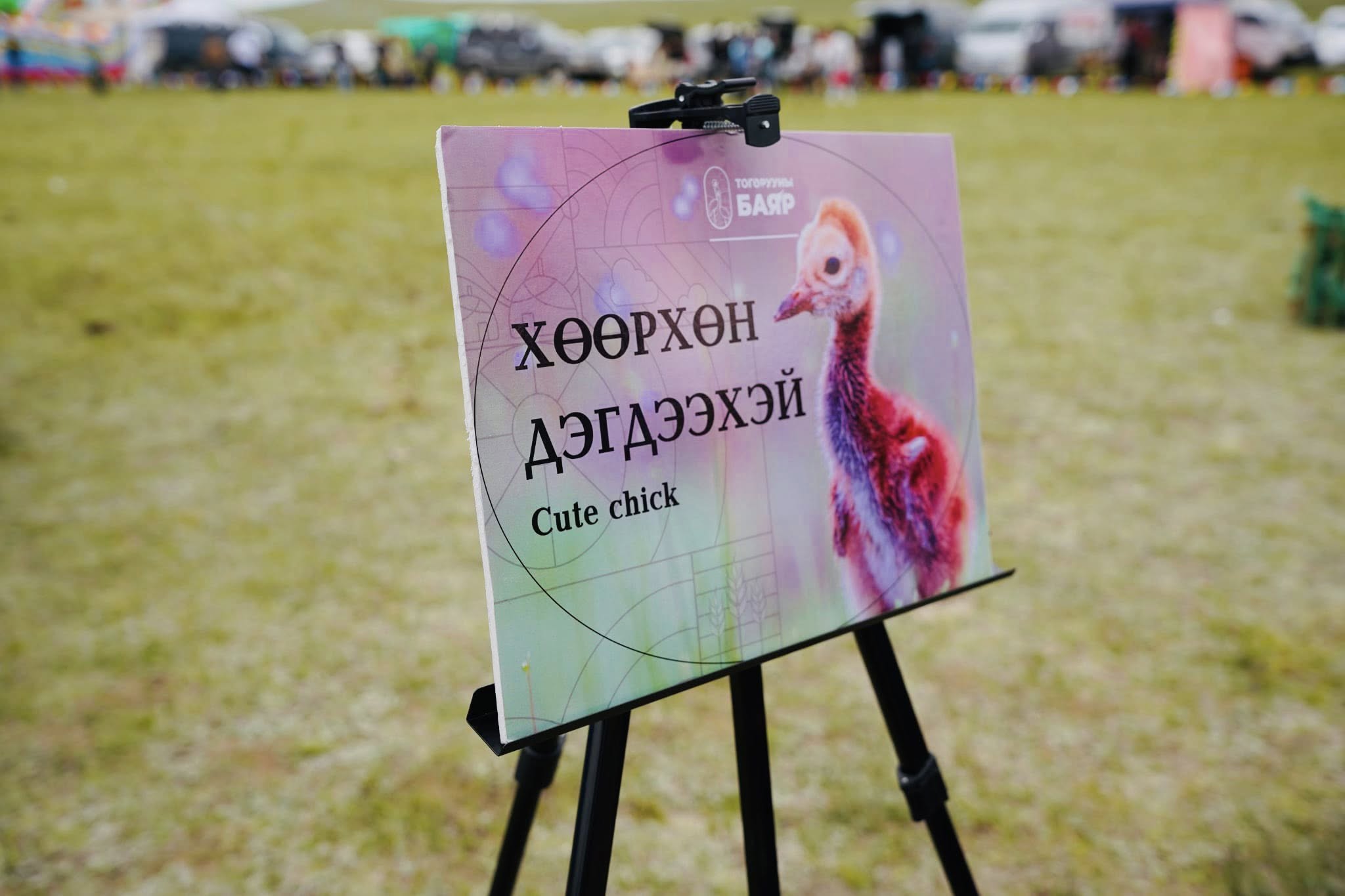 507373266_1123835293181483_3090152904806390550_n